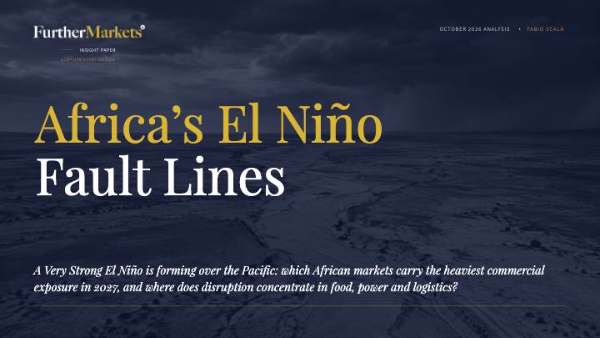 Couverture de Les failles d’El Niño en Afrique